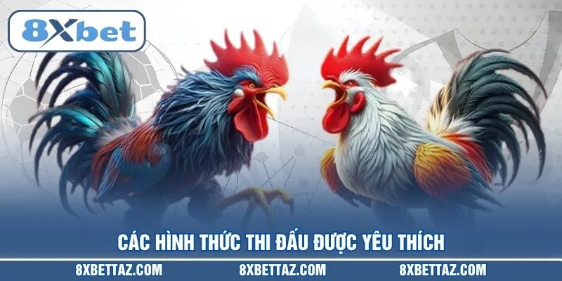 Các hình thức thi đấu được yêu thích
