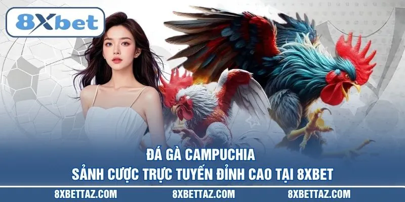 Đá gà Campuchia – Sảnh cược trực tuyến đỉnh cao tại 8XBET